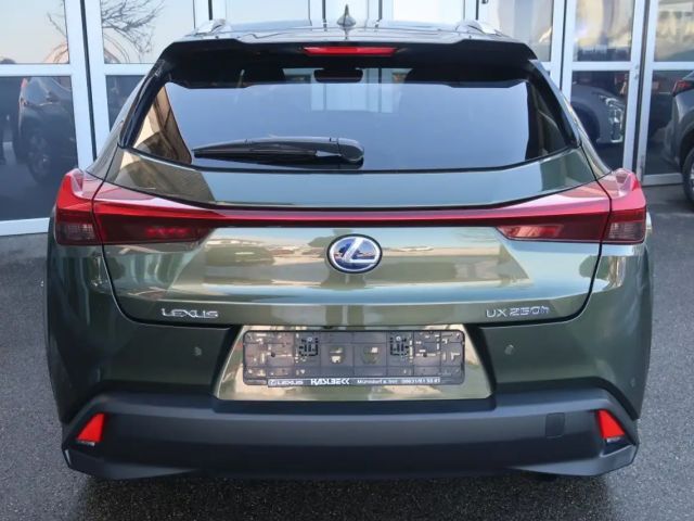 Lexus UX 250h Style Edition