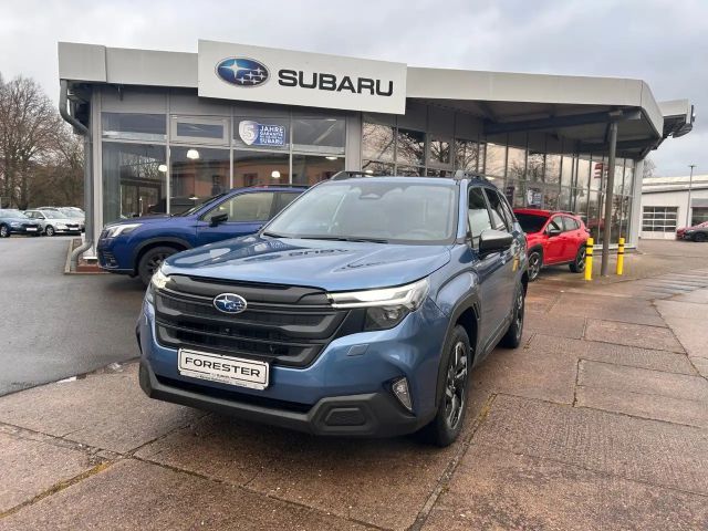 Subaru Forester Exclusive