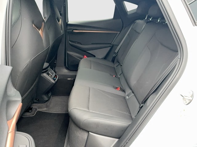 Cupra Tavascan Endurance