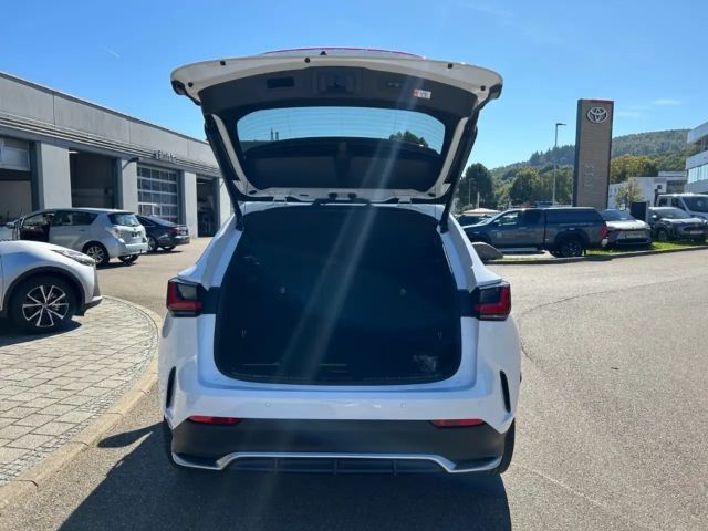 Lexus NX 4x4 F Sport Sport