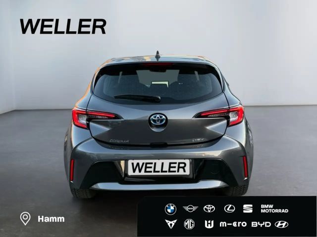 Toyota Corolla Business Hybride