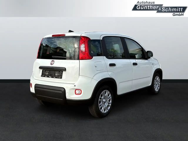 Fiat Panda 1.0 Pandina