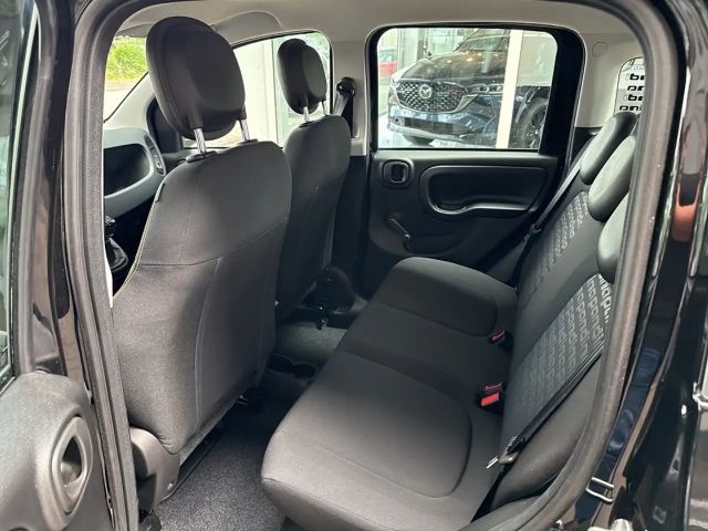 Fiat Panda 1.0 Hybrid 70PS Pandina