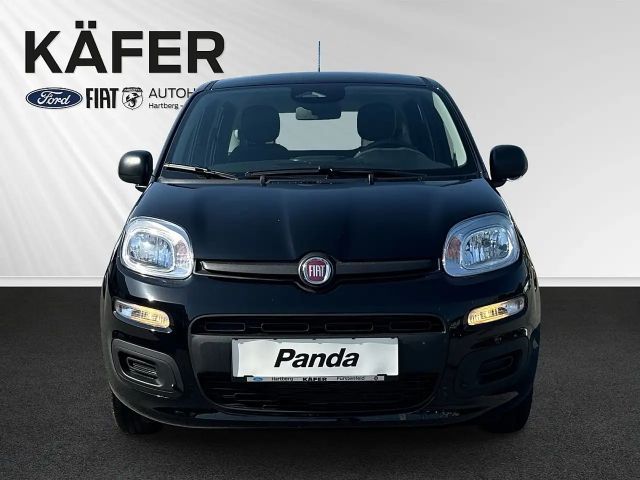 Fiat Panda 4x2