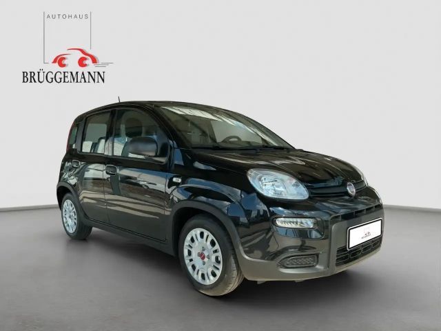 Fiat Panda 1.0 Hybrid