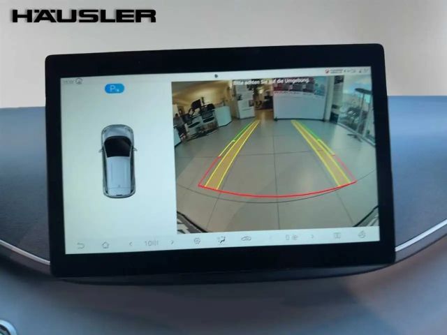 BYD Dolphin Surf CarPlay Klima Navi Leder