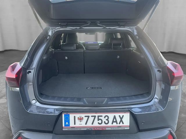 Lexus UX F Sport Sport