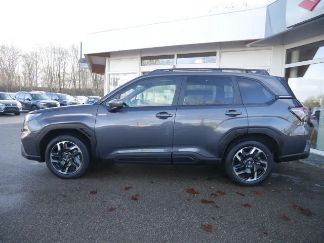 Subaru Forester Exclusive