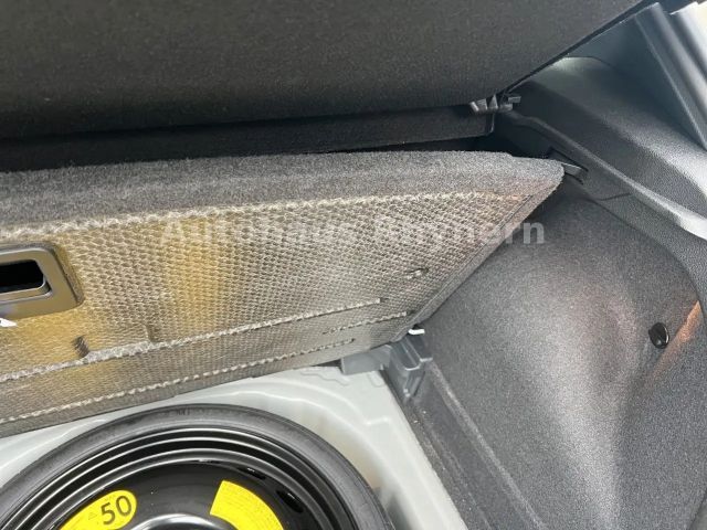 Volkswagen Polo 2.0 TSI DSG GTI