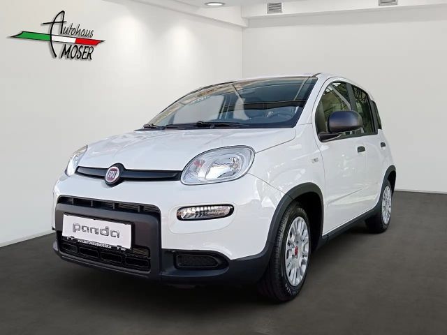 Fiat Panda 4x2