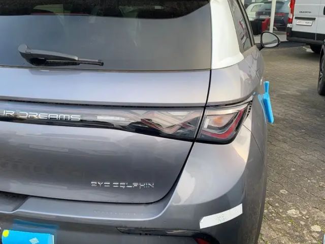 BYD Dolphin Design