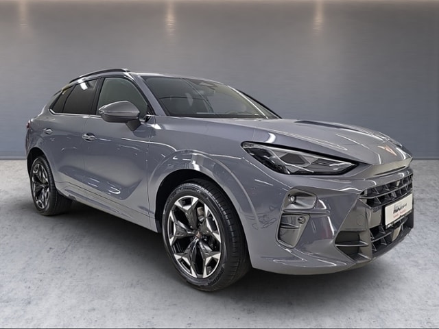 Cupra Terramar 2,0 TSI DSG LED AHK EL-HK RFK SHZ