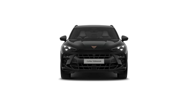 Cupra Terramar Performance