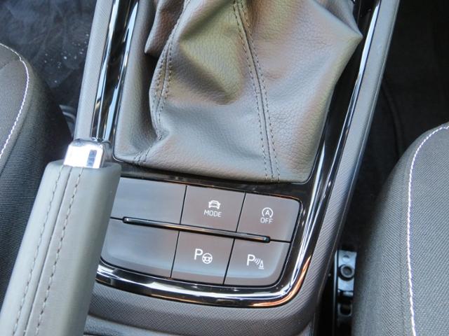 Skoda Scala Monte Carlo