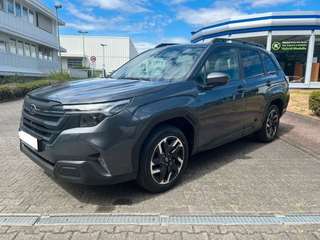 Subaru Forester Exclusive