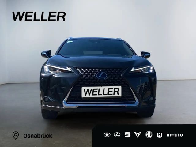 Lexus UX 250h Amazing edition