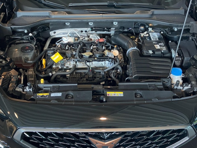 Cupra Formentor 2.0 TSI 4Drive DSG VZ