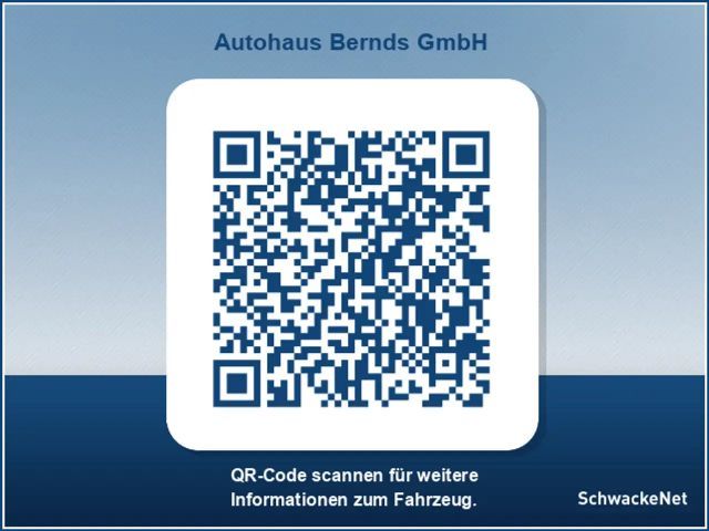 Renault Trafic Blue EDC Grand Spaceclass