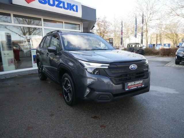 Subaru Forester Exclusive