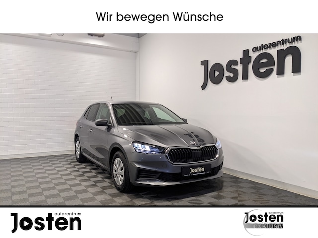 Skoda Fabia Aktiv 1.0 MPI LED SHZ Klima CarPlay DAB