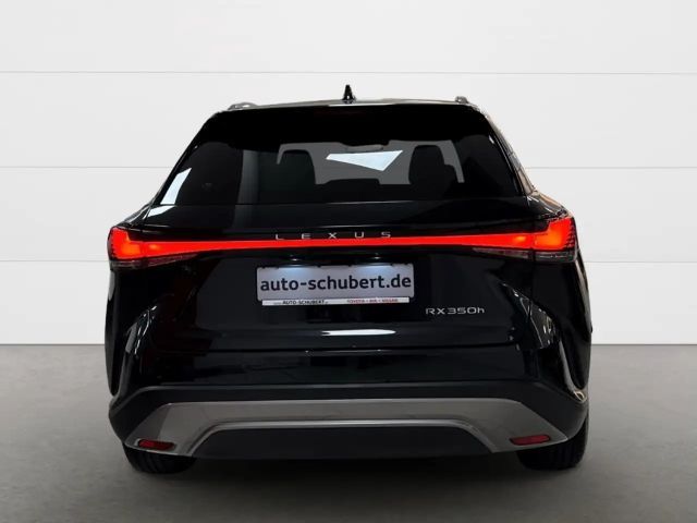 Lexus RX-Serie Business Line