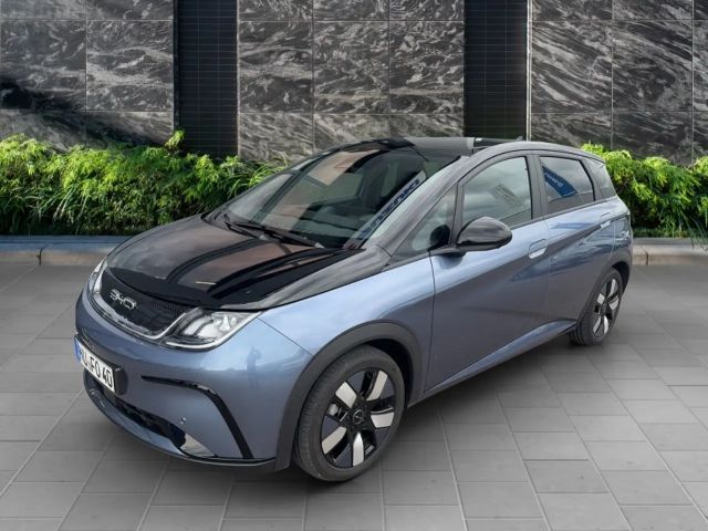 BYD Dolphin Design
