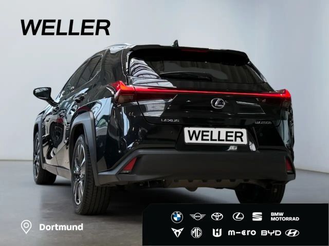 Lexus UX 250h Style Edition