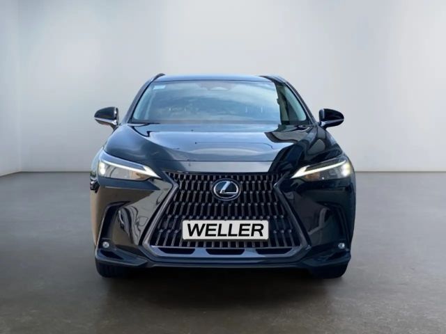 Lexus NX Executive Line