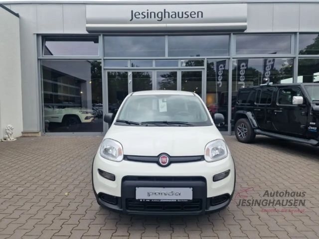 Fiat Panda MY24 Hybrid KomfortPaket Bluetooth Apple CarPlay A
