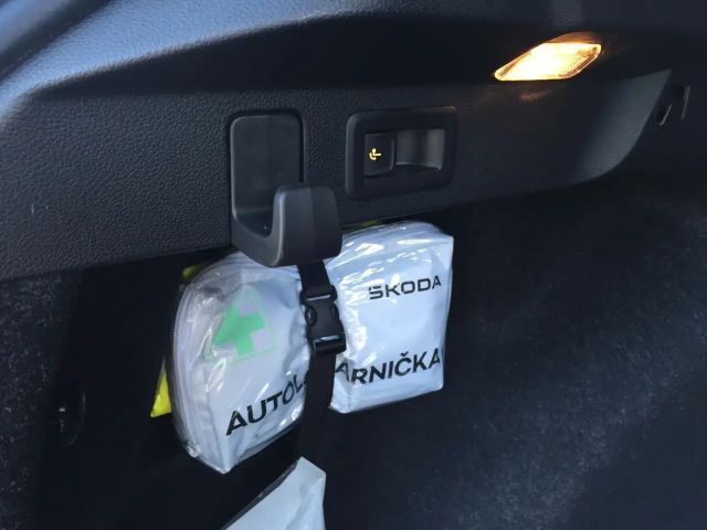 Skoda Scala Monte Carlo