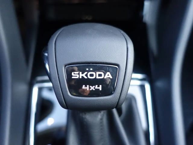 Skoda Karoq 4x4 Selection