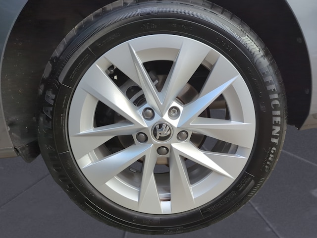 Skoda Octavia 2.0 TDI Combi Selection