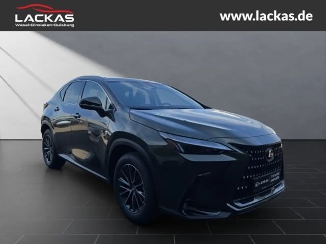 Lexus NX h 243 PS ** 15 Jahre Gar antie ** Sitzklima Connect - Paket 360°Kamera