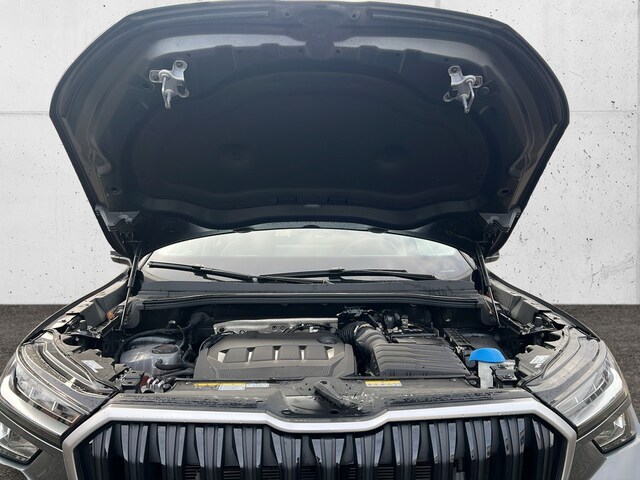 Skoda Kodiaq 2.0 TDI 4x4 Selection