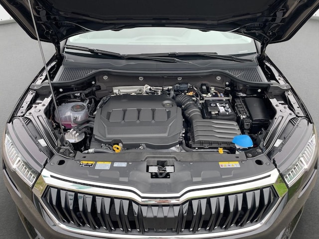 Skoda Karoq 2.0 TDI Tour