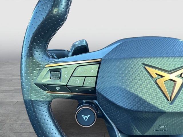 Cupra Formentor 2.0 TSI 4Drive DSG