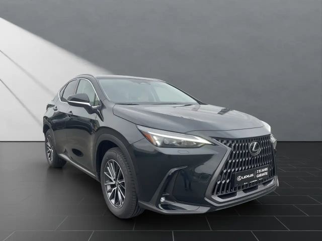 Lexus NX Executive Line