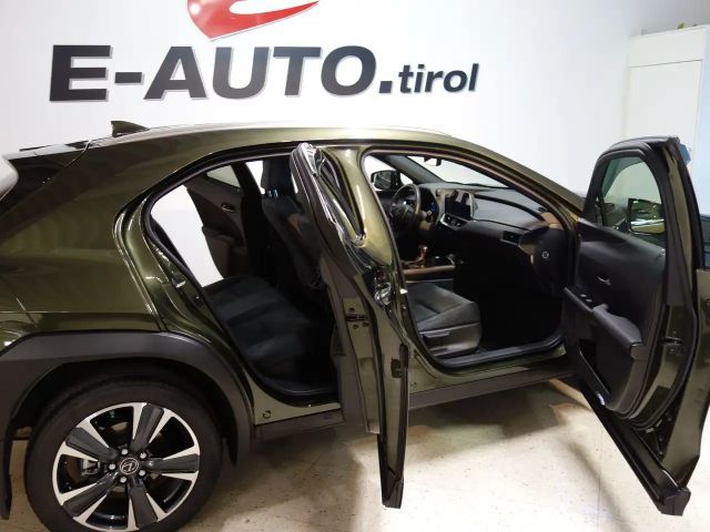 Lexus UX 250h