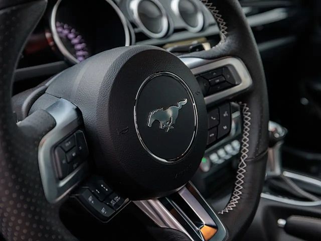 Ford Mustang Fastback GT 5.0 V8 RWD Shelby