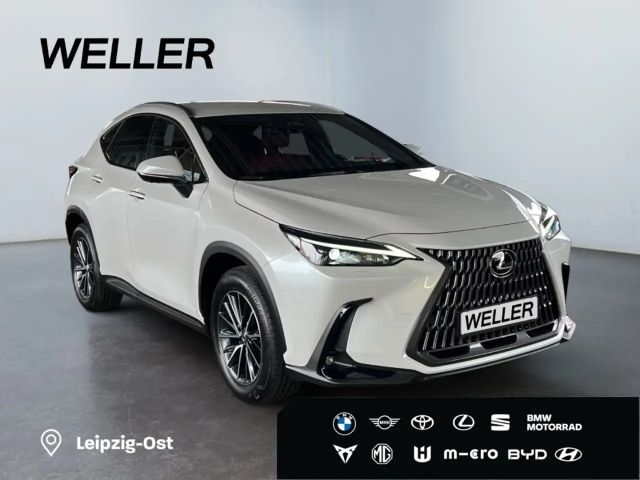 Lexus NX Executive Line