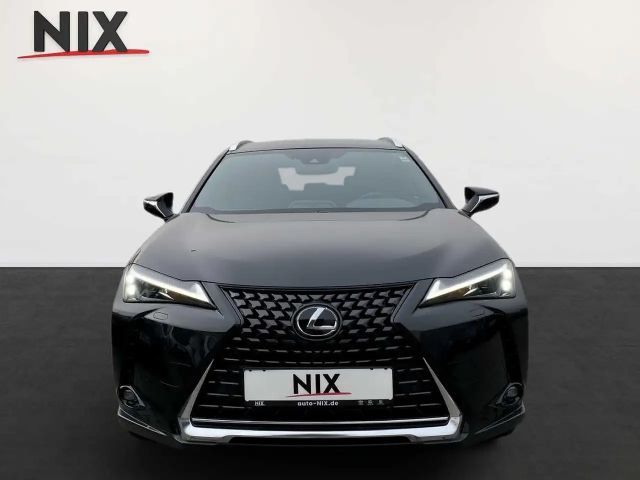 Lexus UX 250h Style Edition
