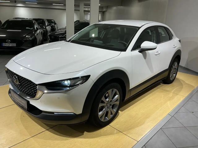 Mazda CX-30 150 PS Automatik*SHZ*LHZ*Head-UP