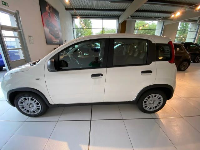 Fiat Panda Hybrid Pandina