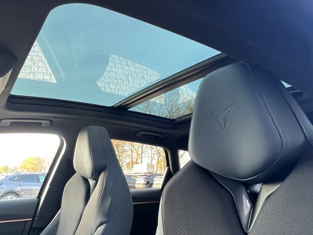 Cupra Terramar 2.0 TSI