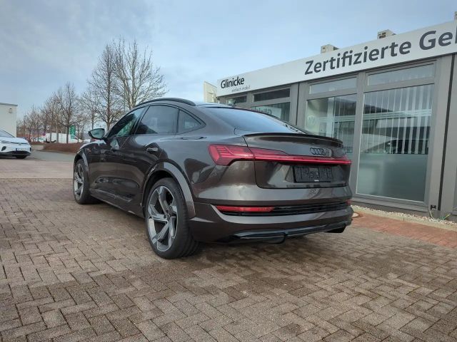 Audi e-tron Bang & Olufsen Pano Matrix