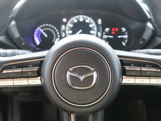 Mazda MX-30 Mazda MX30 R-EV Mokoto (industrial Vintage) DASO