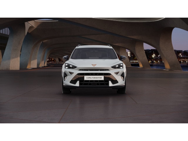 Cupra Formentor 2.0 TSI 4Drive DSG