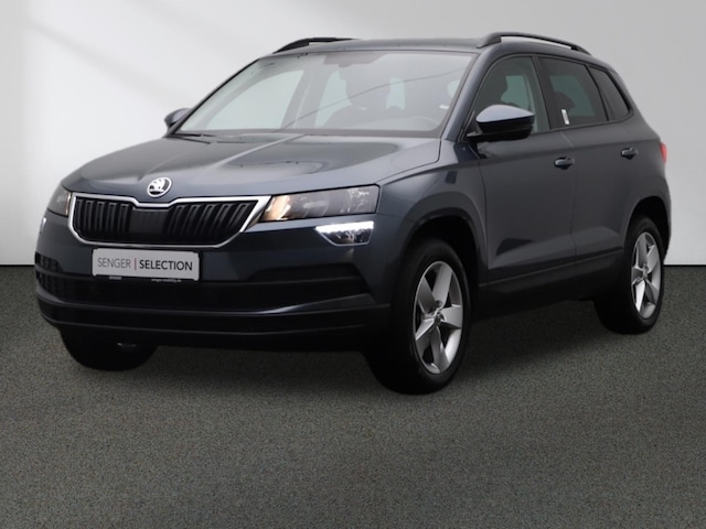 Skoda Karoq Karoq 1,5 l Kamera Navi AHK LED-Ablagen-Paket