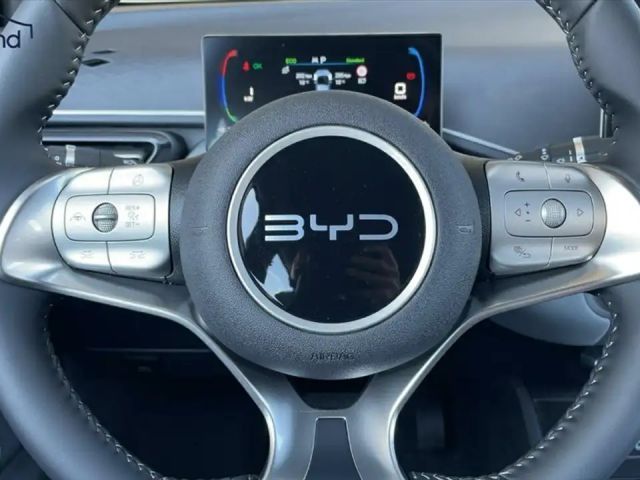 BYD Dolphin Surf Boost