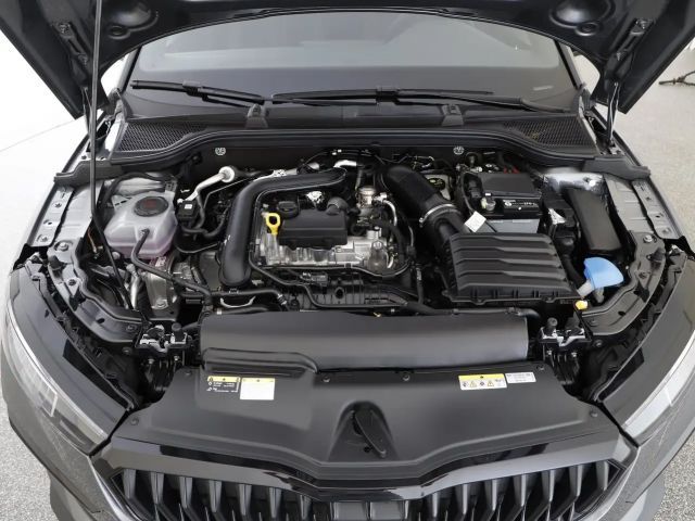 Skoda Scala Monte Carlo